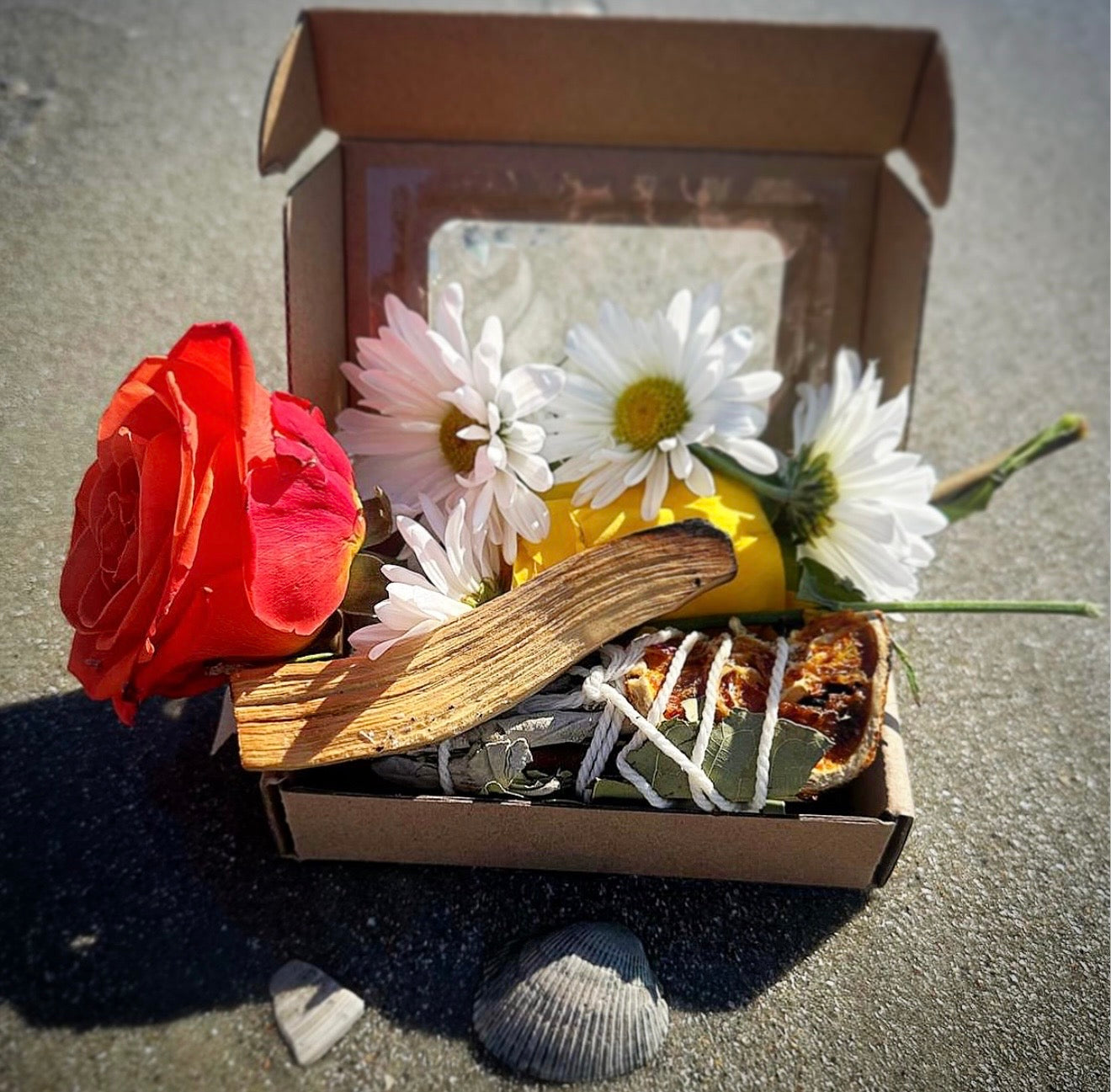 Sacred Ritual 🌿✨🌬️